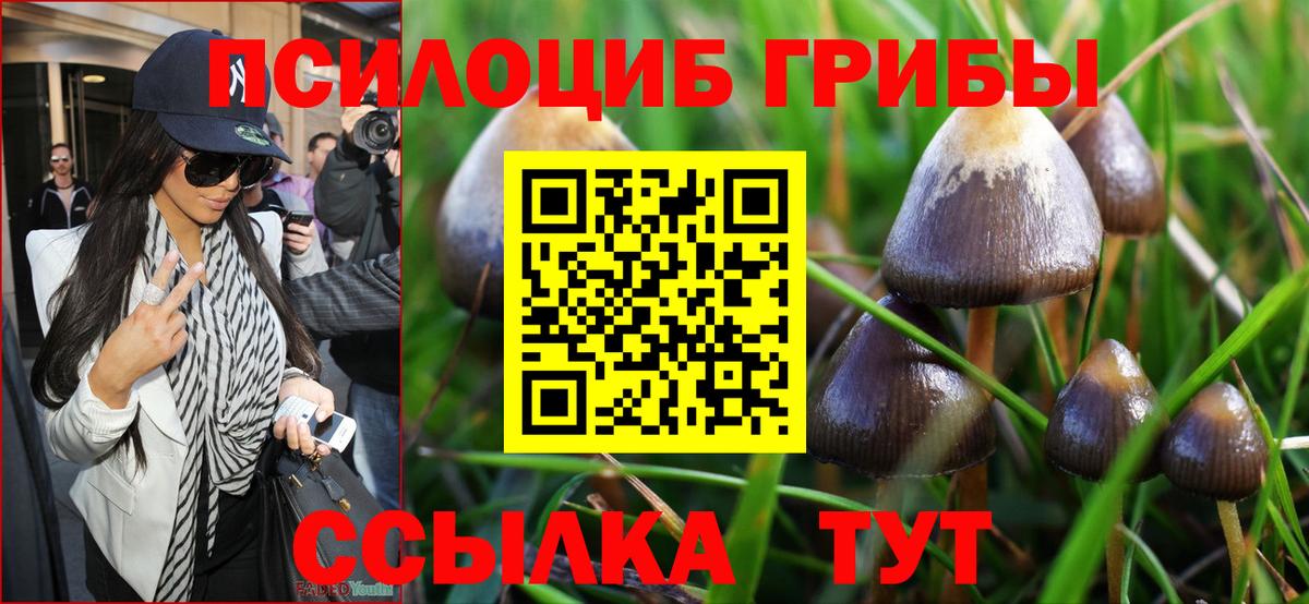 Галлюциногенные грибы MAGIC MUSHROOMS  дарнет шоп  Вход с VPN  Белореченск  Псилоцибиновые грибы Magic Shrooms 